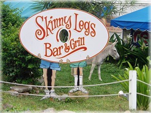 donkey-sign.jpg